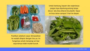 sayur lebih awet