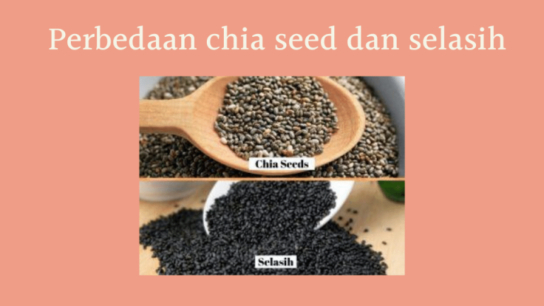 perbedaaan chia seed dan selasih