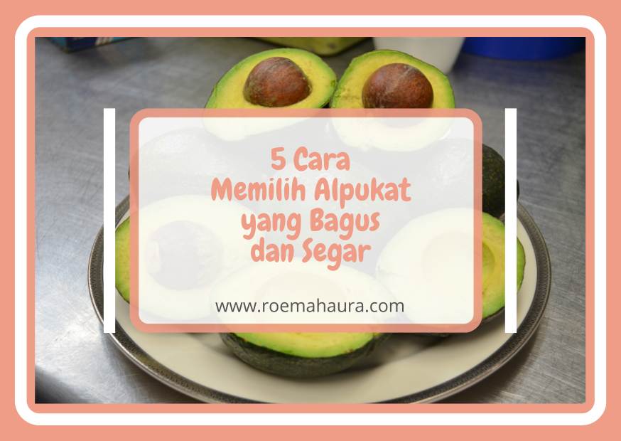 cara memilih alpukat