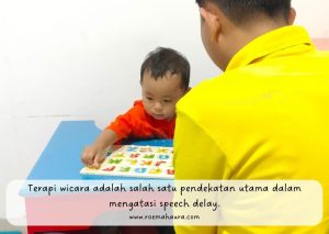 Terapi wicara