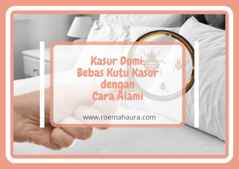 Cara Menghilangkan Kutu Kasur